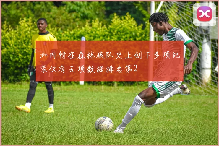 加内特在森林狼队史上创下多项纪录仅有五项数据排名第2