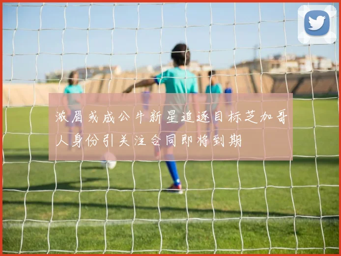 浓眉或成公牛新星追逐目标芝加哥人身份引关注合同即将到期