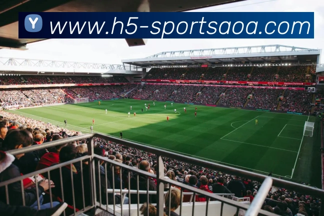 多媒体互动体验